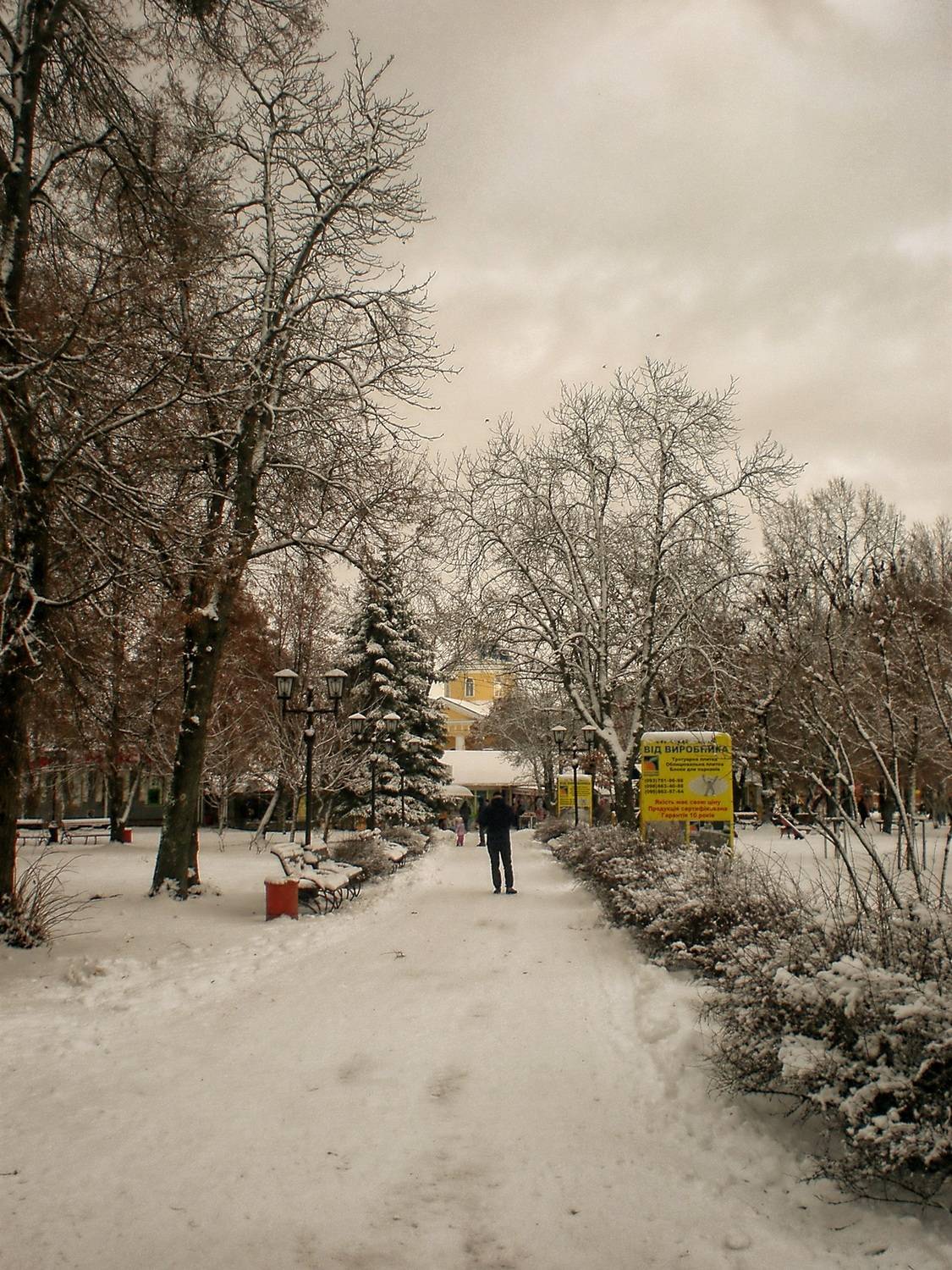 , Савоцкий Роман