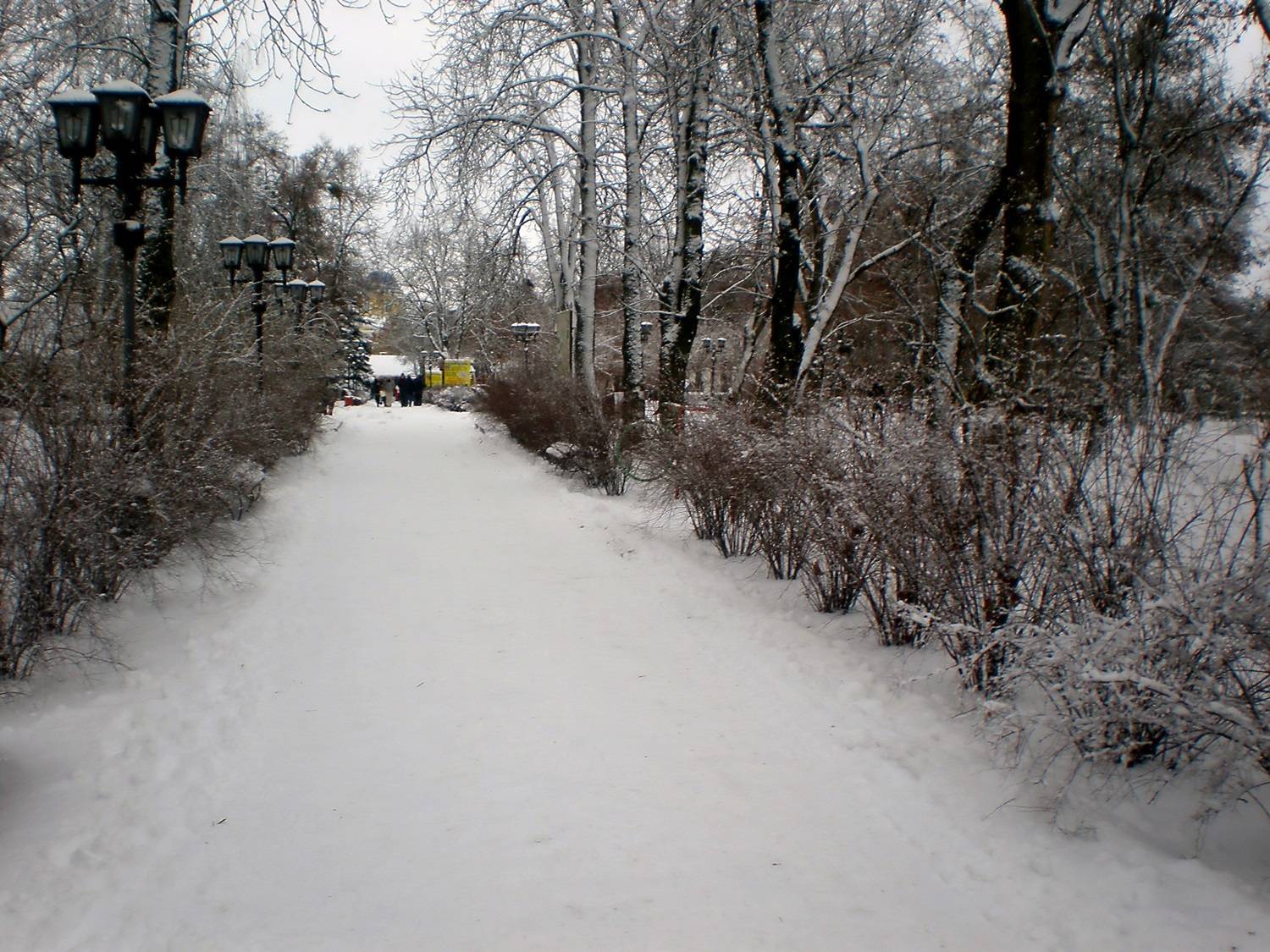 , Савоцкий Роман