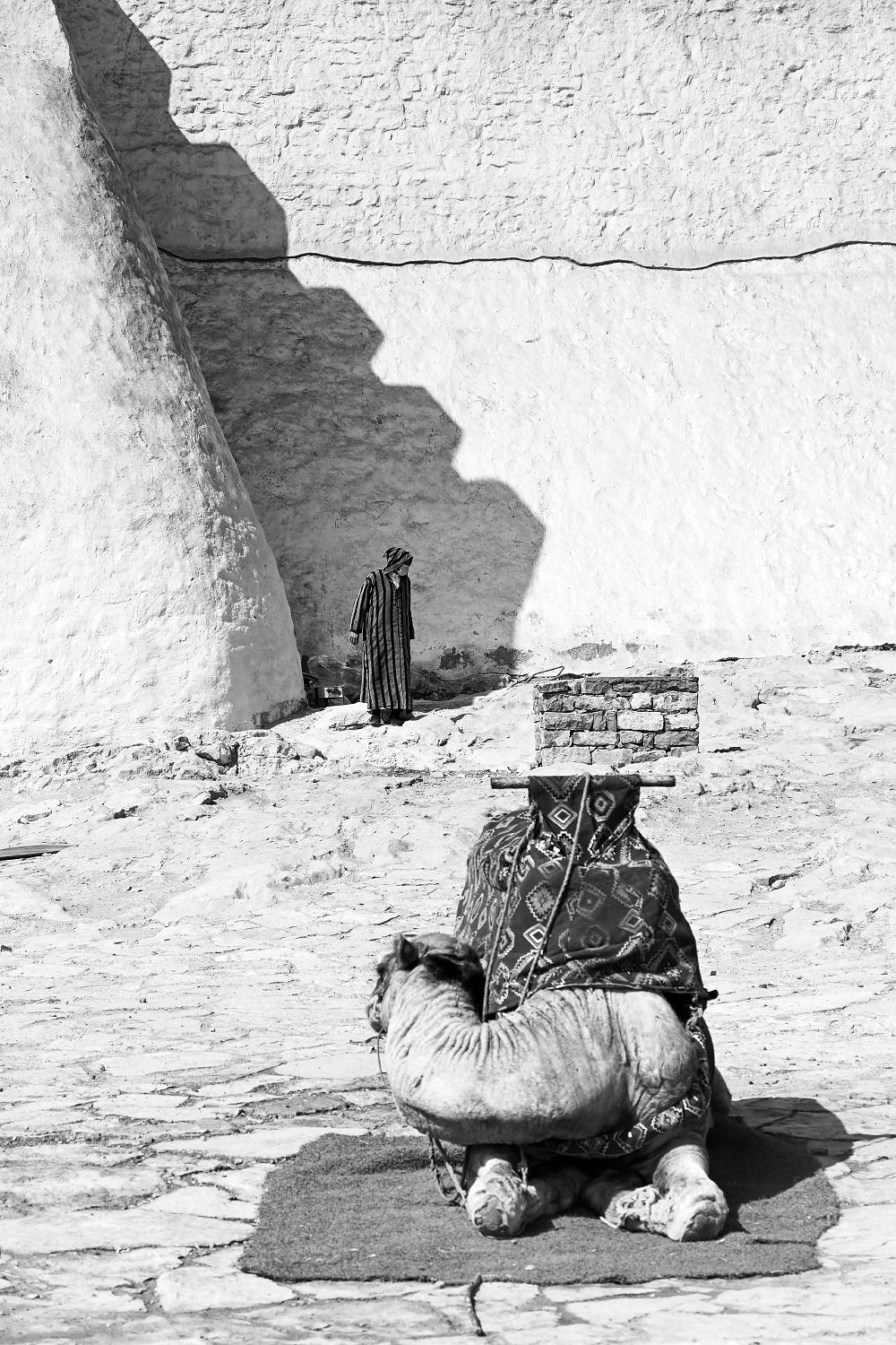 , Марина Никифорова