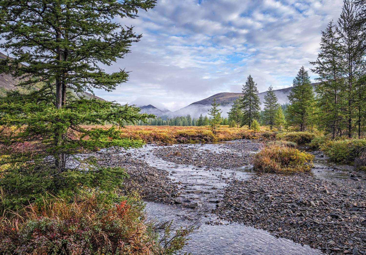 , Андреев Николай