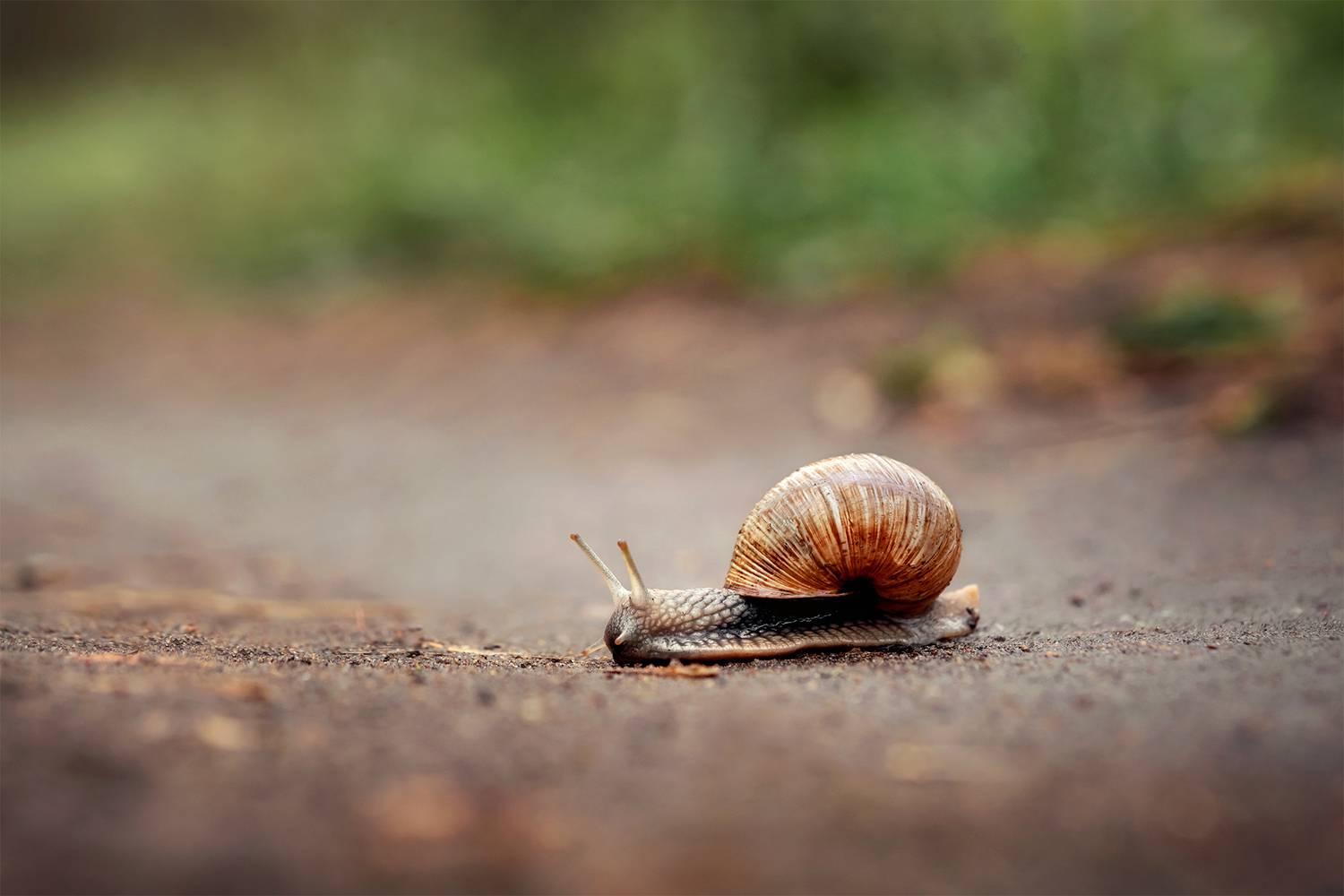 , Людмила Завьялова