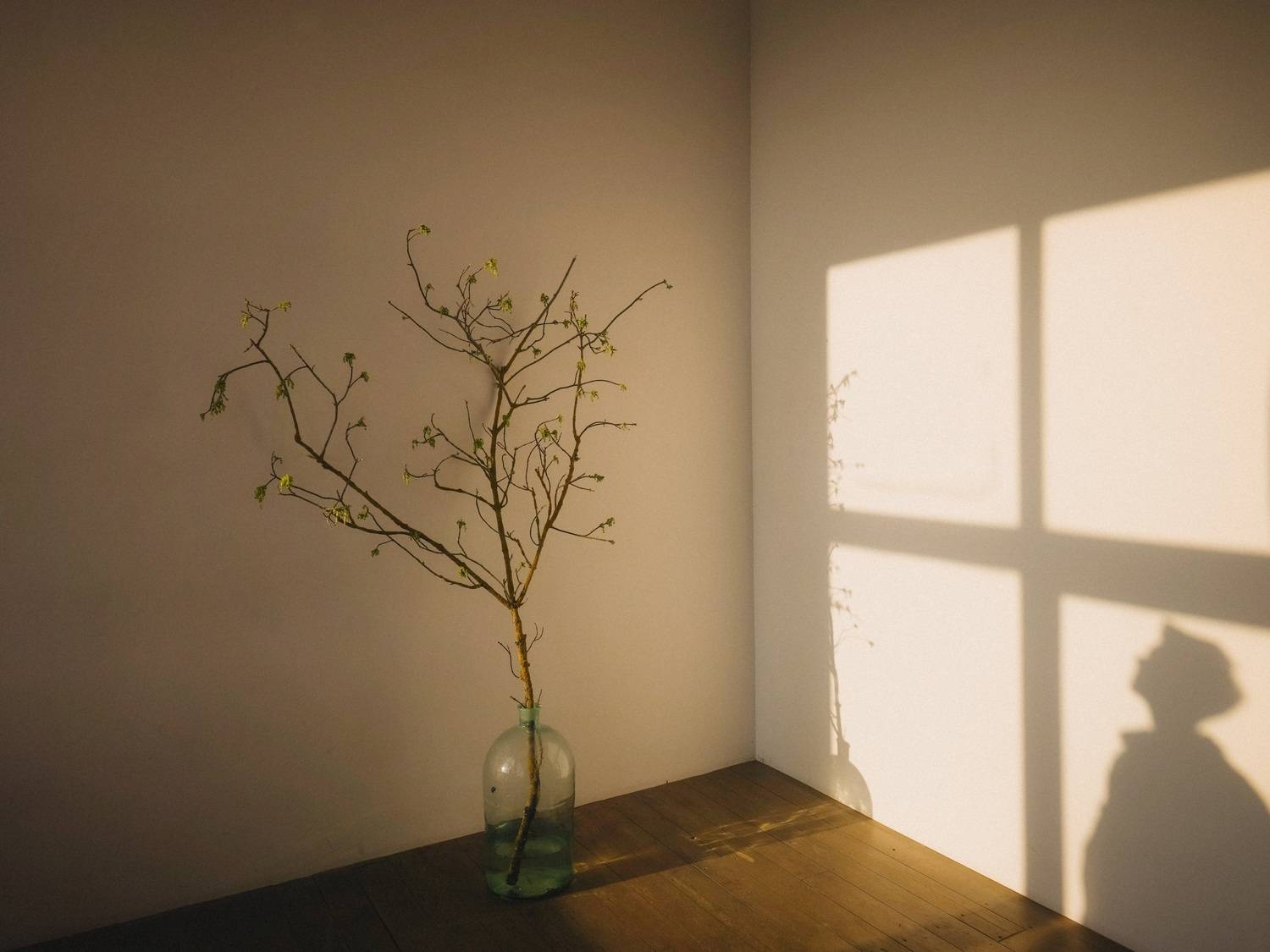 , Игорь Кабанов