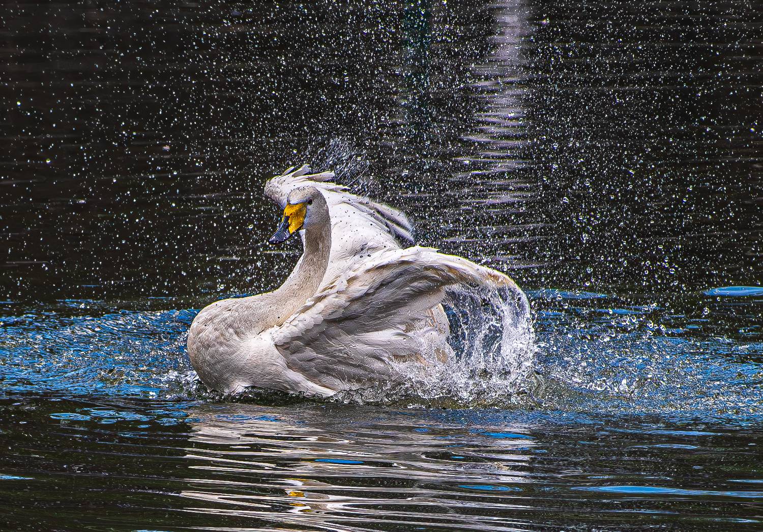 , Михаил Измайлов