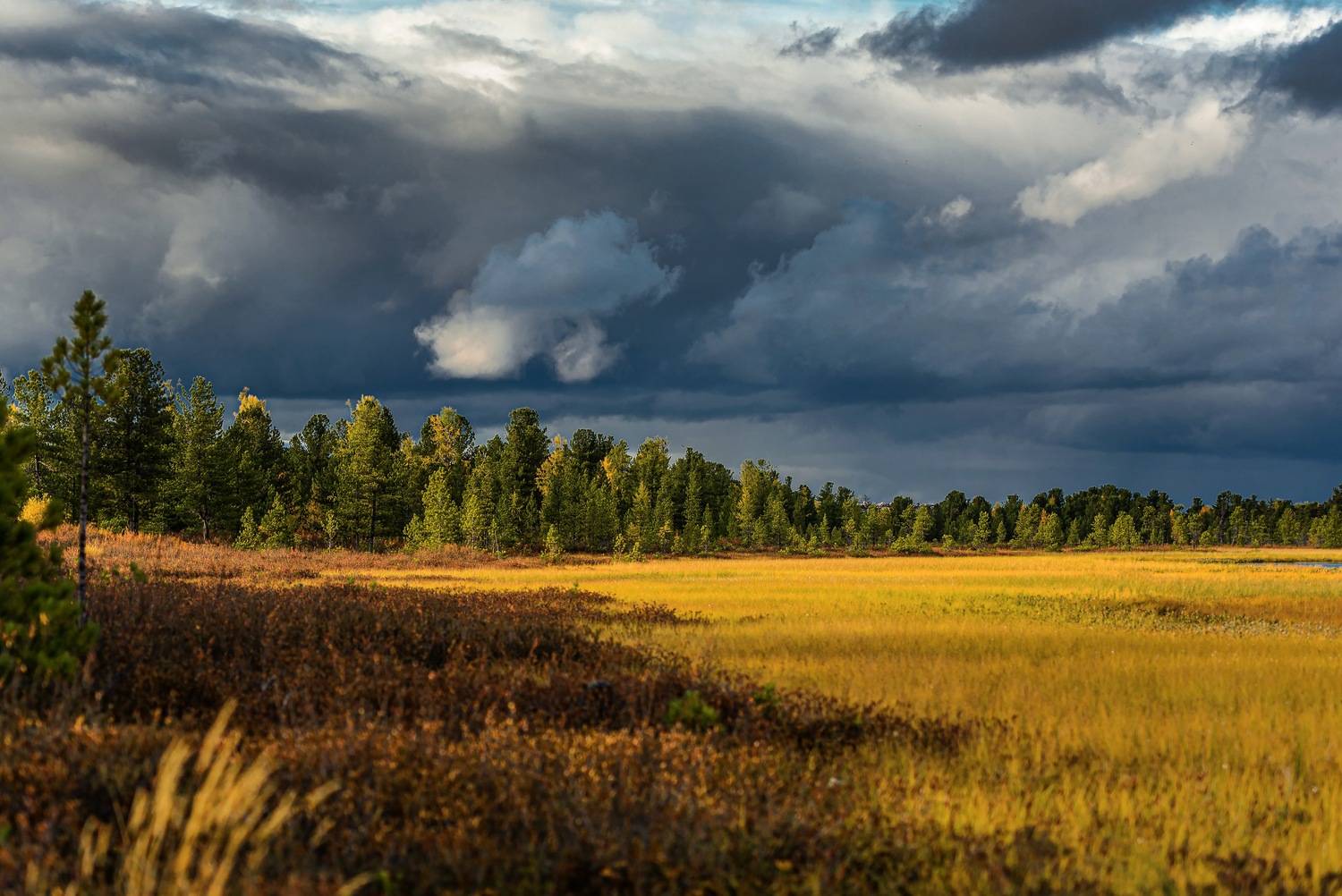 , Сторожев Олег