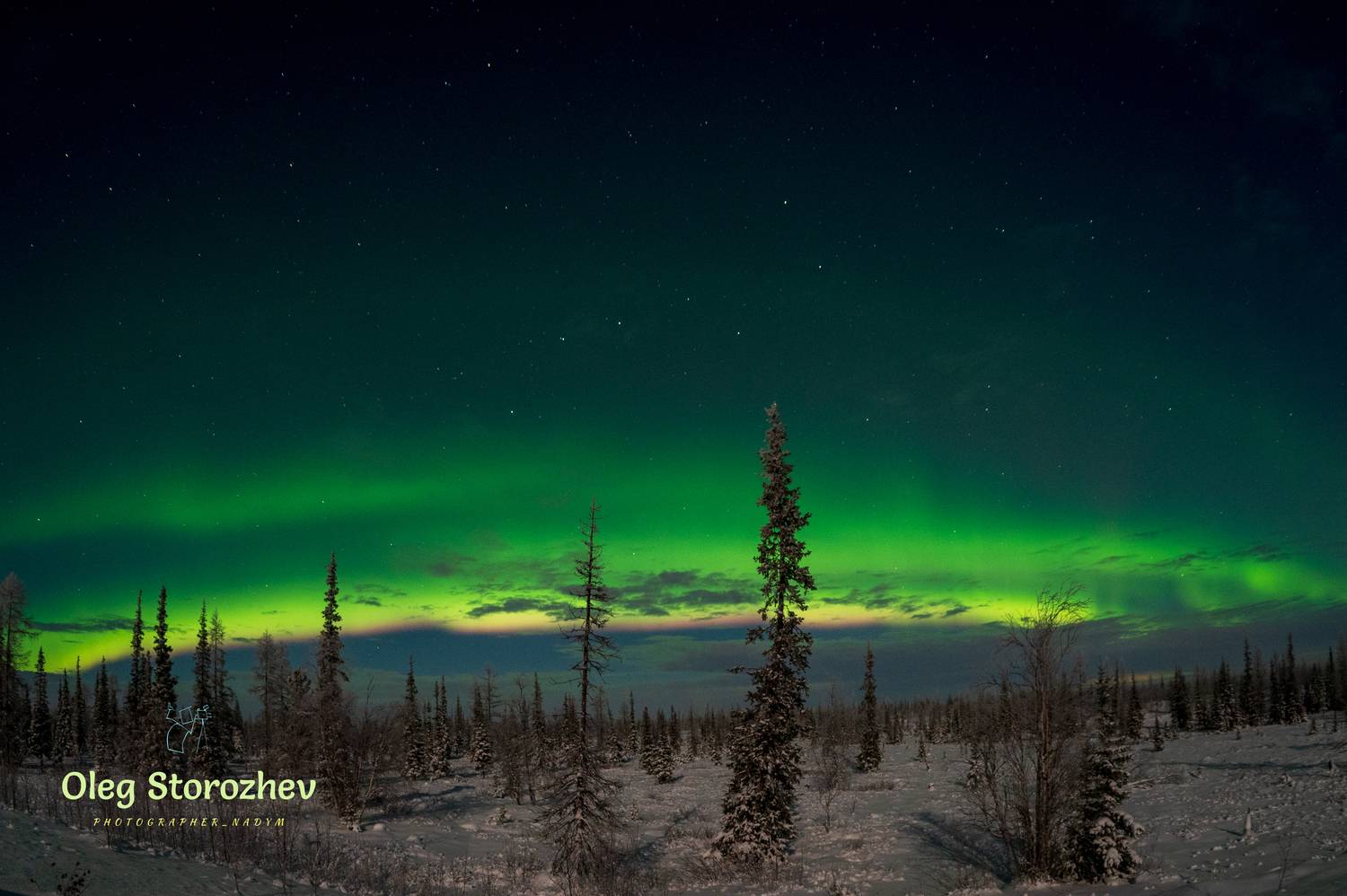 , Сторожев Олег