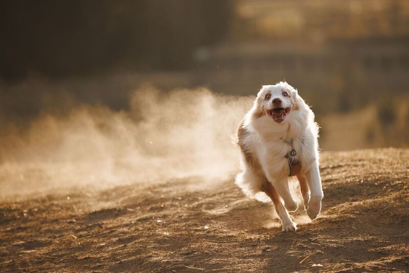 The speed of light фото превью