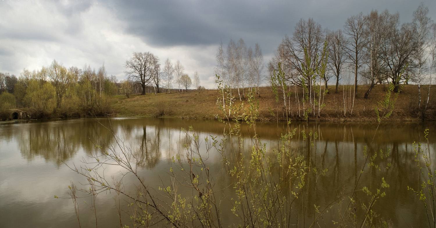 весна, апрель, Колеснева Елена