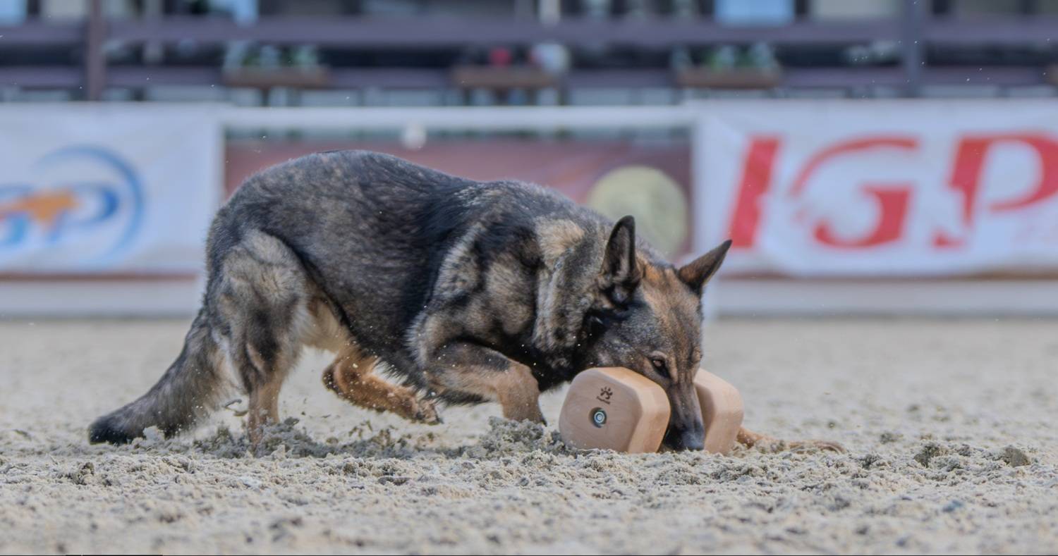 , Сергей Жиркевич