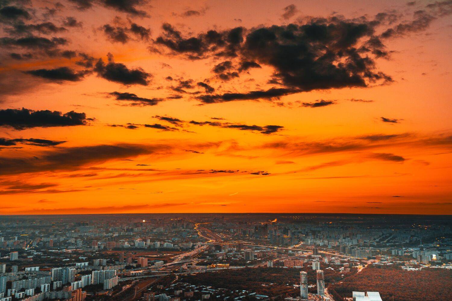 , Трепольский Дмитрий