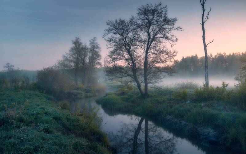 Зорька майская ... фото превью