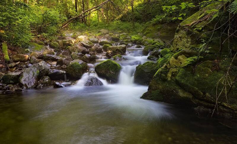 лето, таёжный ручей, приморский край, тайга, водопадик водопадик фото превью