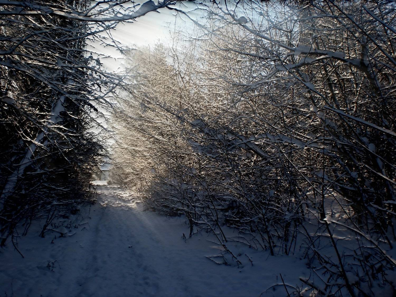 , Савоцкий Роман