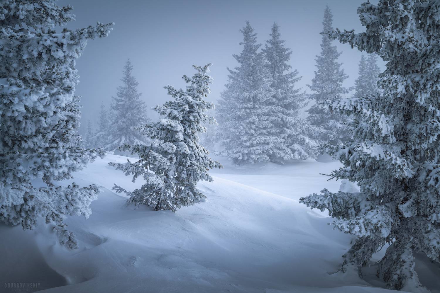 елки, таганай, зима, мороз, метель, Дубровинский Михаил