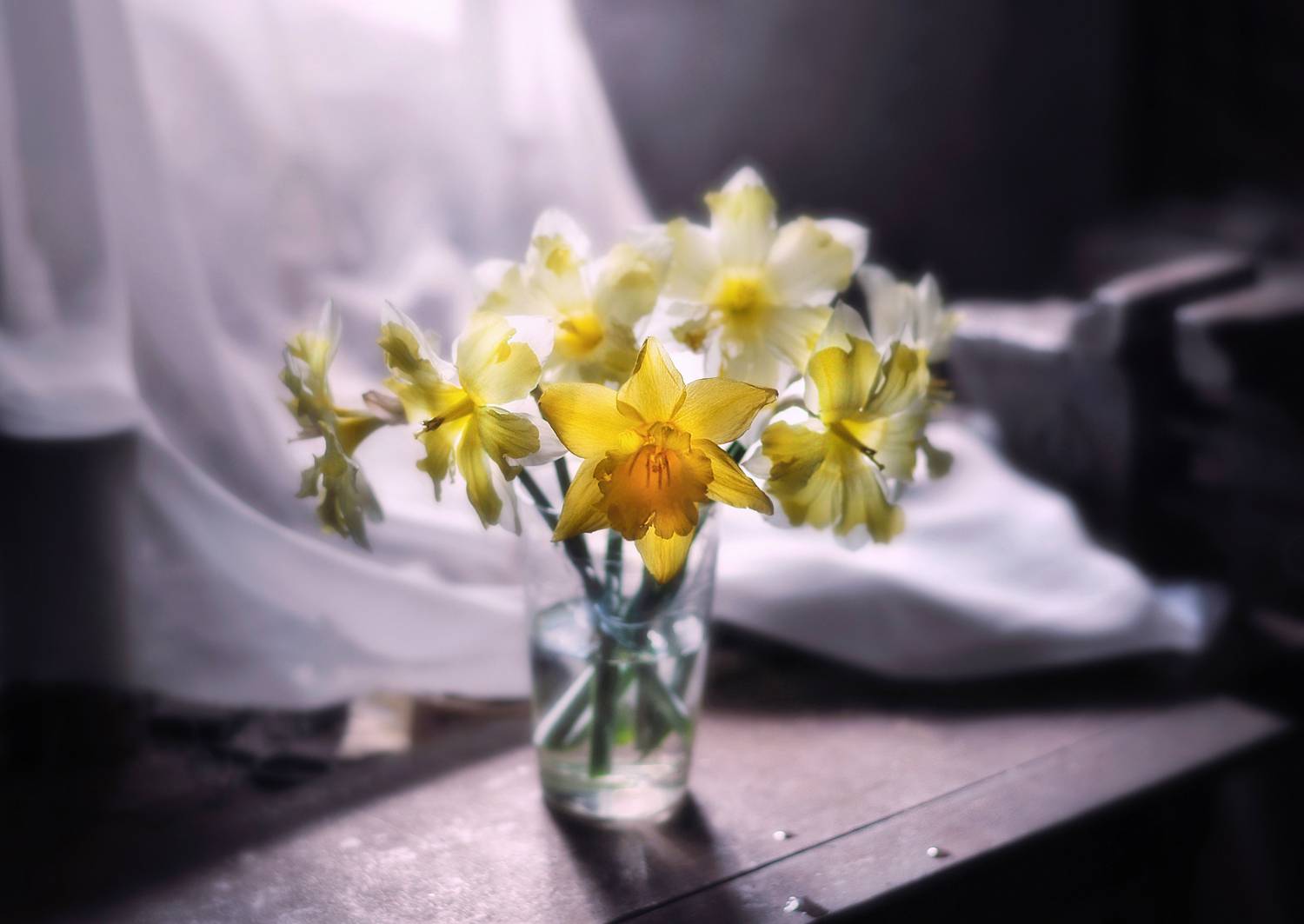 натюрморт, букет, весна, нарциссы, апрель, настроение, still life, spring flowers, april, sunny mood, цветы, весенняя атмосфера, Буглак Инна