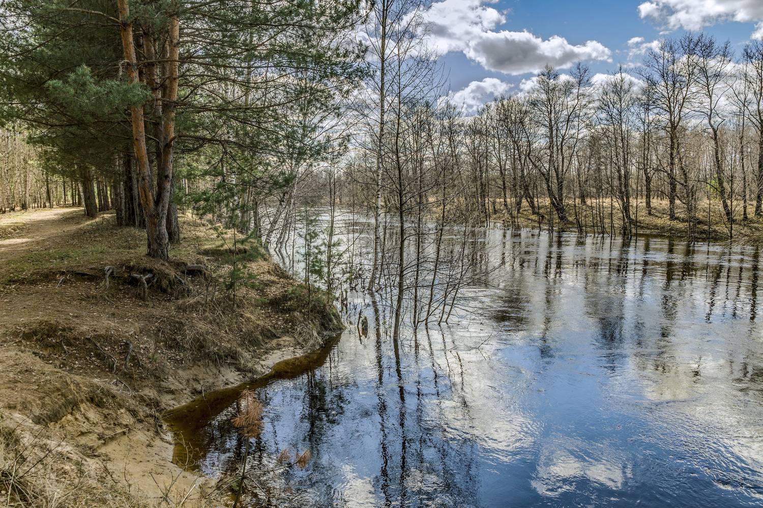 , Шитов Александр