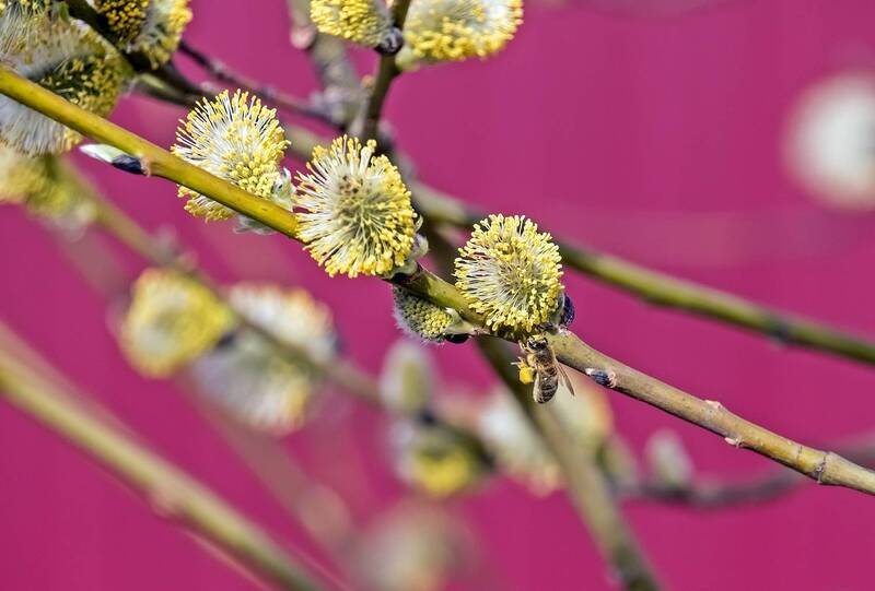 Весенние заботы фото превью