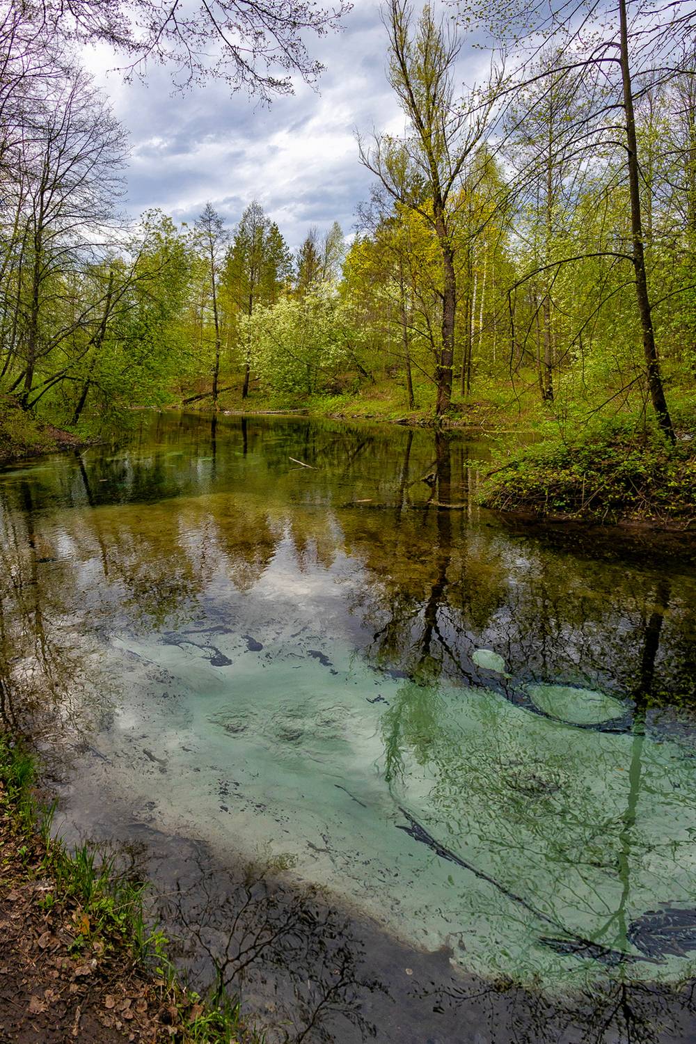 зеленый ключ, природа, ручей, весна, республика марий эл, Подосинников Максим