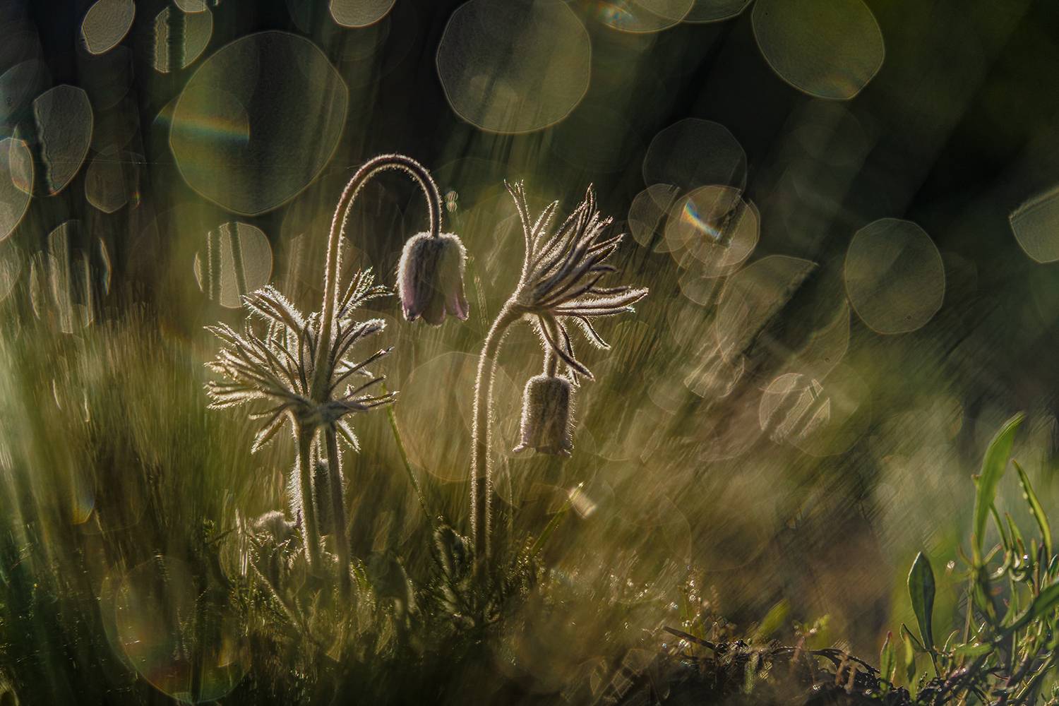 , Рябов Игорь