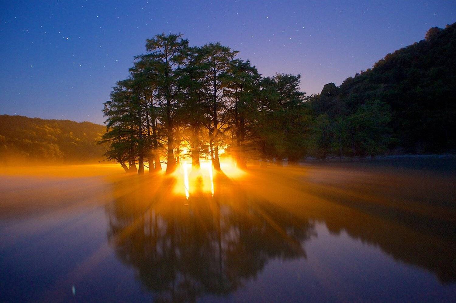 болотные кипарисы,роща,юг, сукко,краснодарский край,ночь, Никифоров Егор