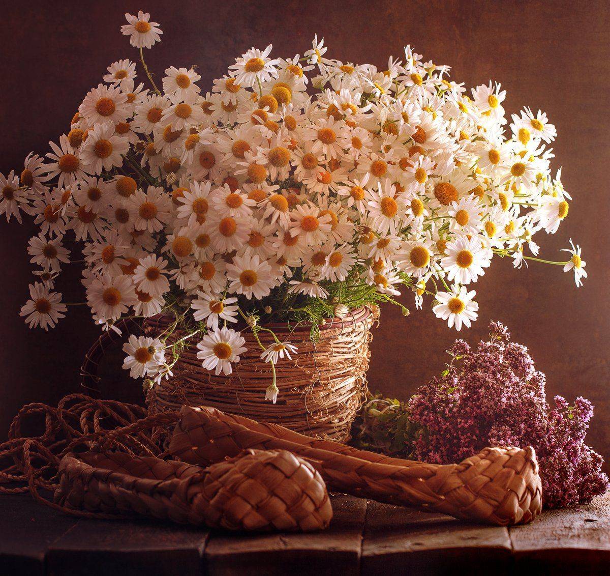 , Инна Богуславская