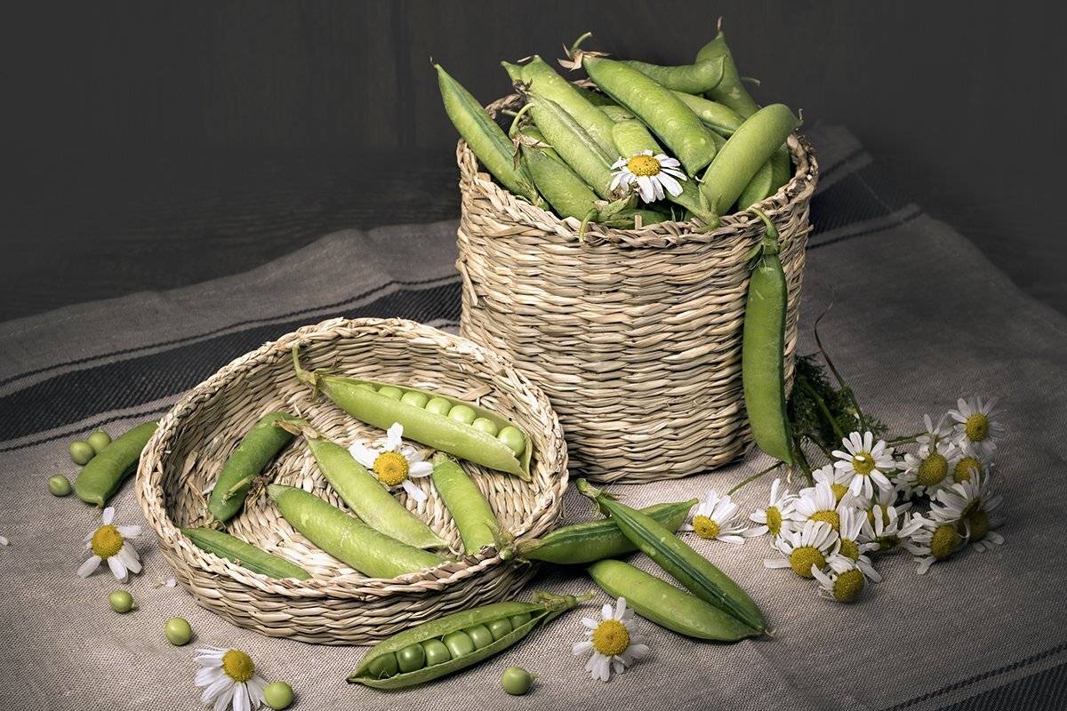 , Наталья Бочкарева