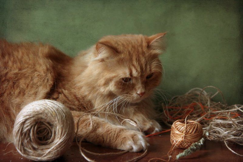 подумаешь,я еще и вышивать могу и на машинке тоже.. фото превью