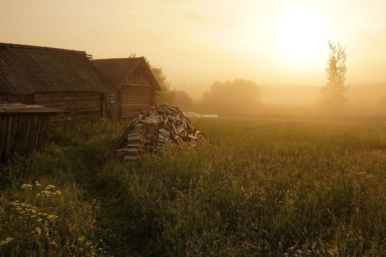 , Петр Косых