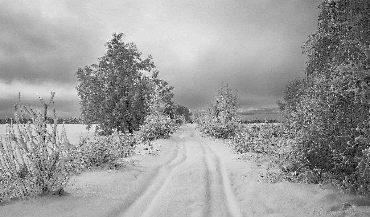 , Николай Морский