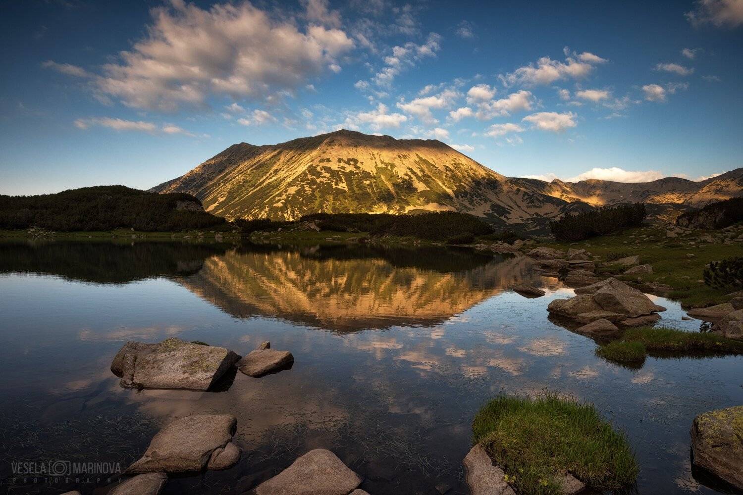 , Весела Маринова