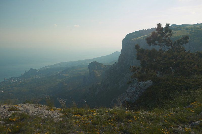 *** фото превью