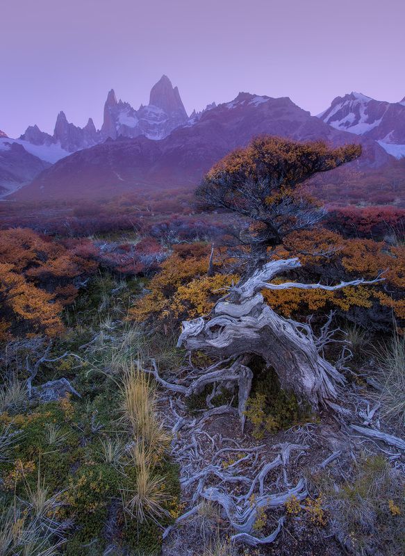 ARS MORIENDI фото превью