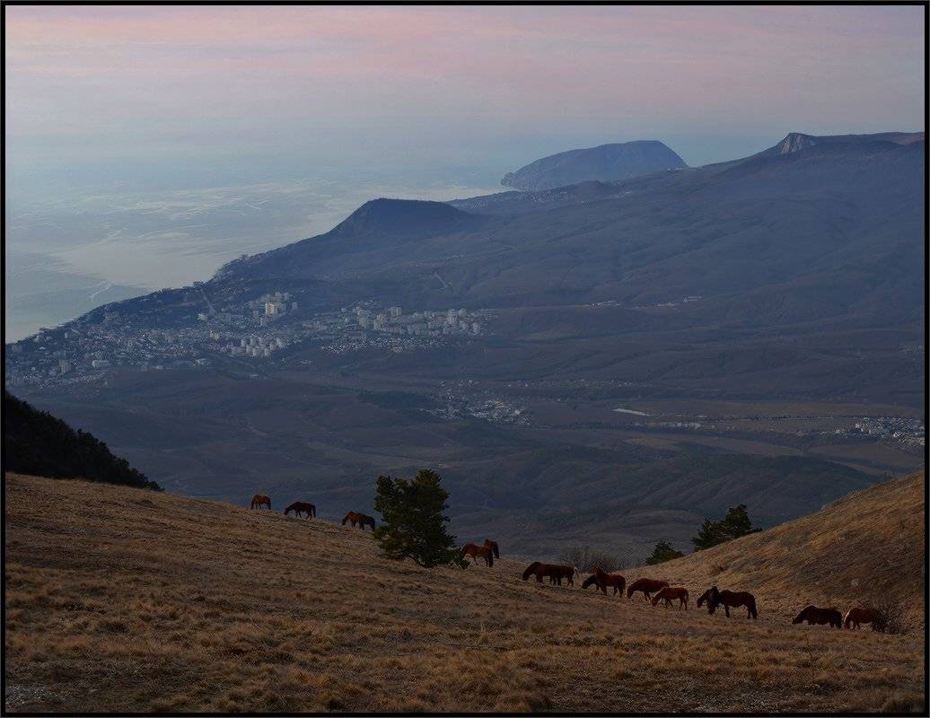 , Владимир Метцгер
