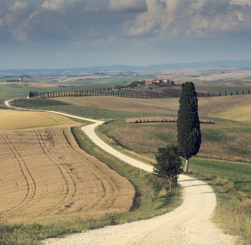 tuscany, landscape The road фото превью