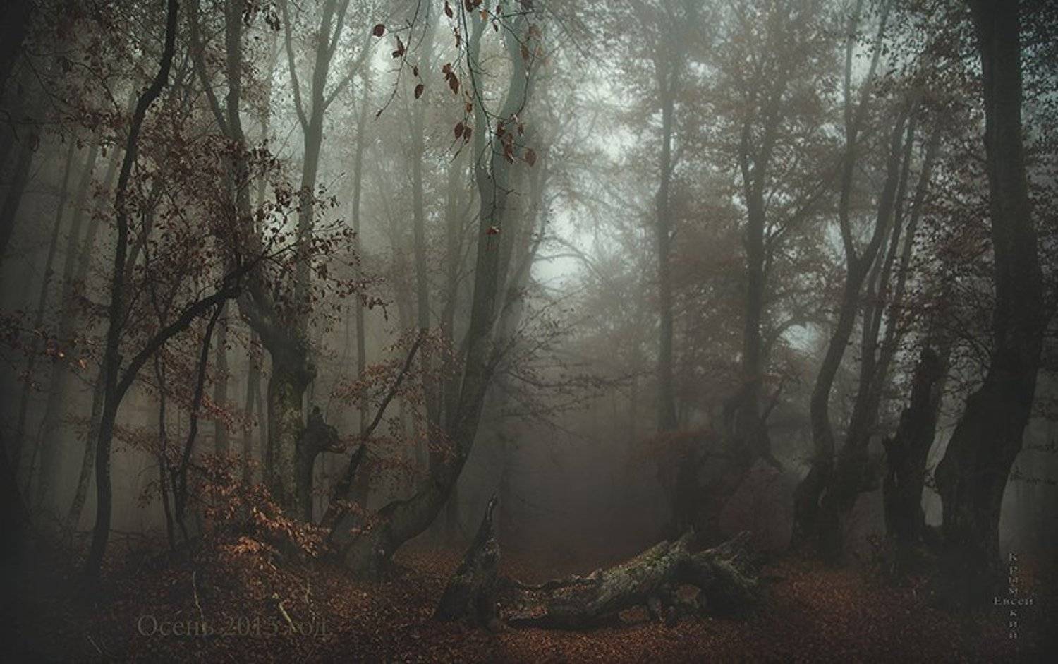 , Борис Костарев