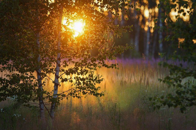 * фото превью