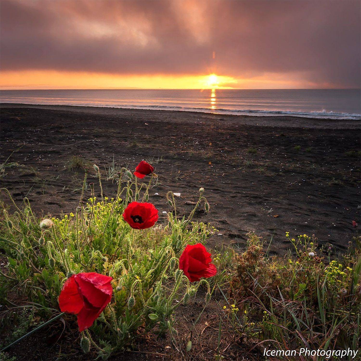 , Малкия Петърчо
