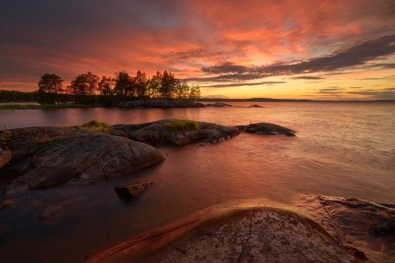 Розовые сны Онего фото превью