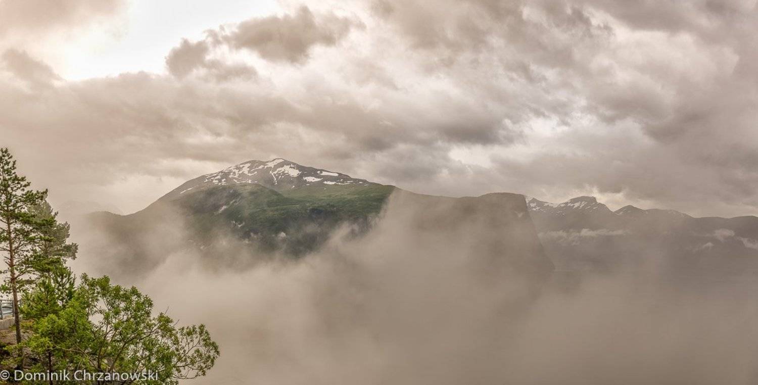 , Dominik Chrzanowski