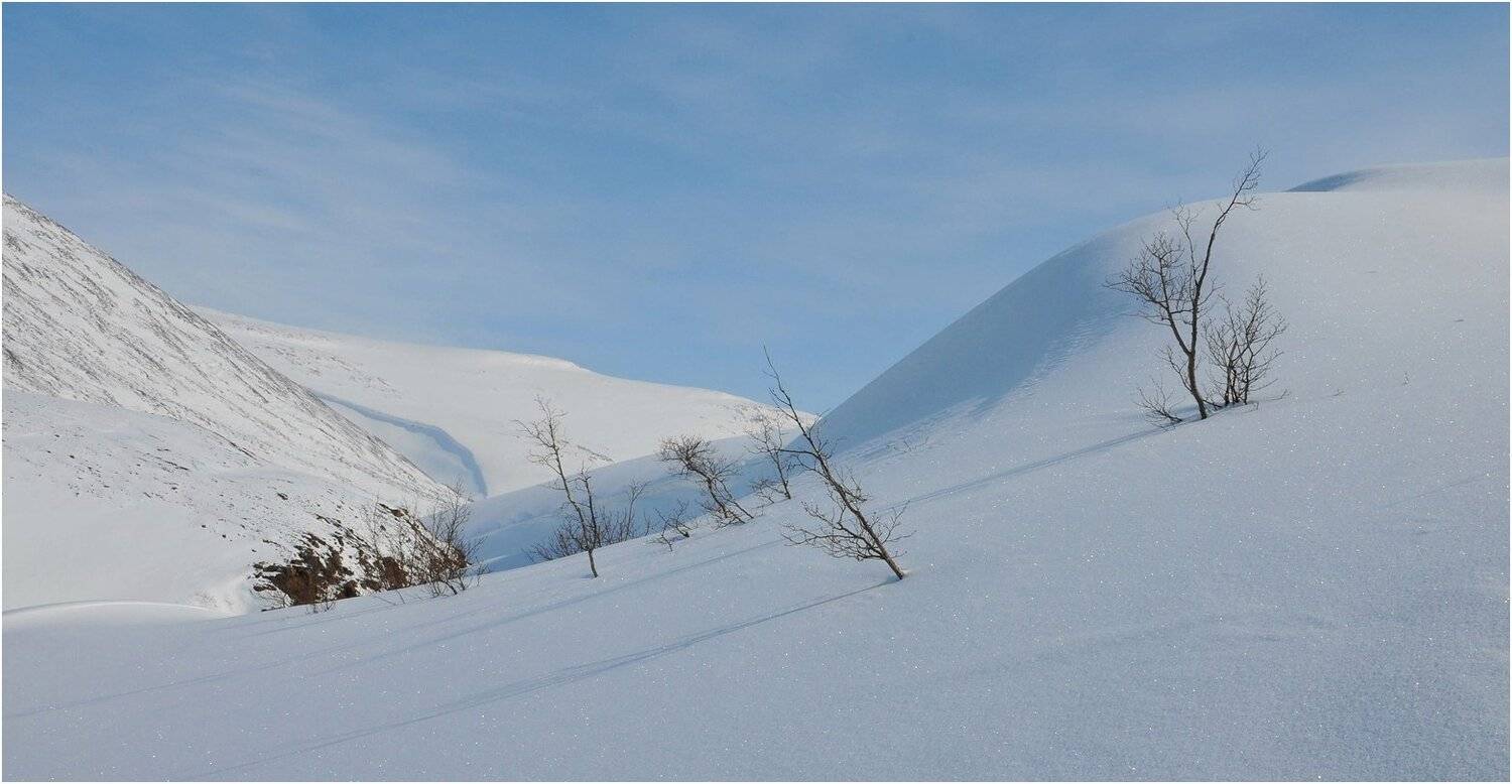 Таймыр, Владимир