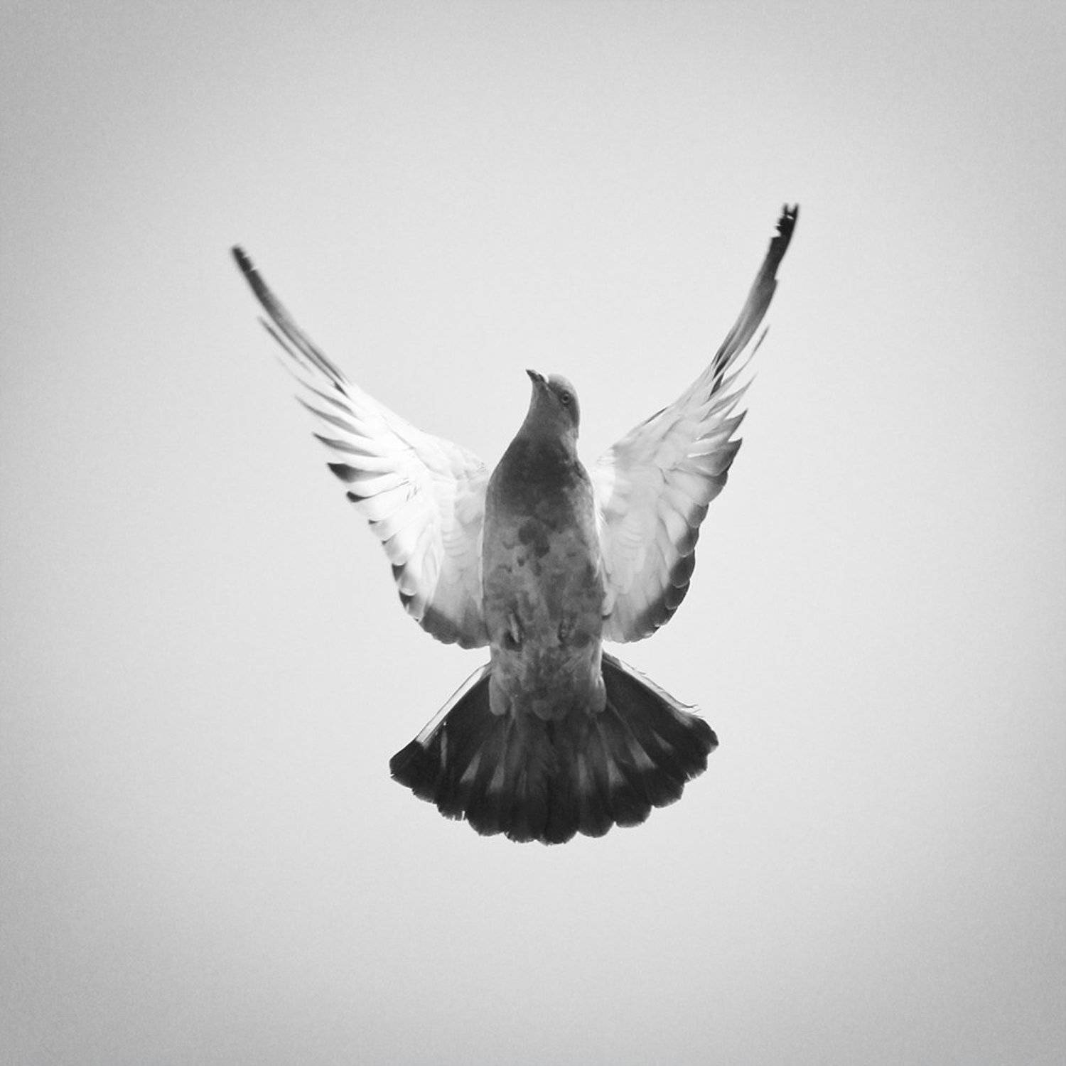 abstract, concept, , Milad Safabakhsh