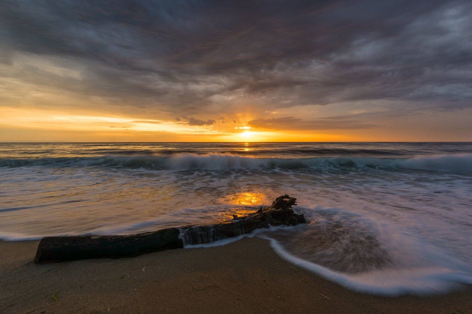 , Илияна Шишкова