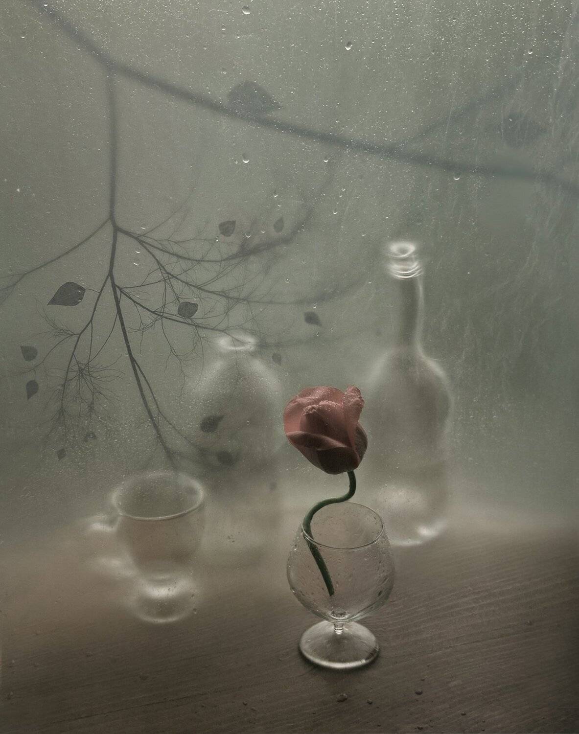 тюльпан, капли, бутылки, бокал, Елена