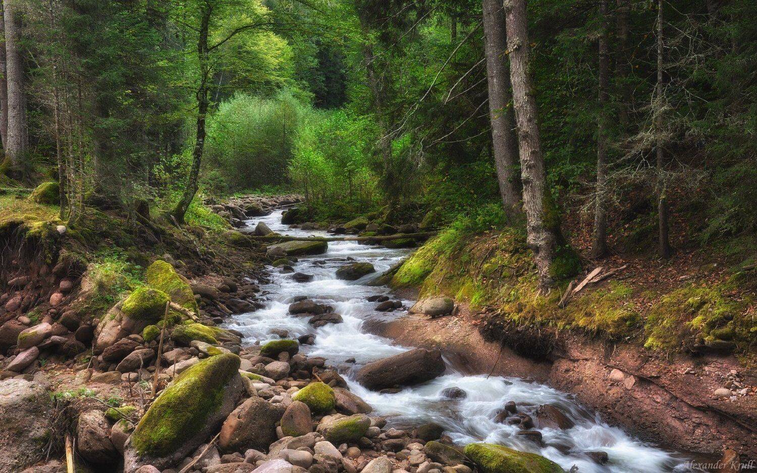 Кавказ, Кчр, Александр Круль