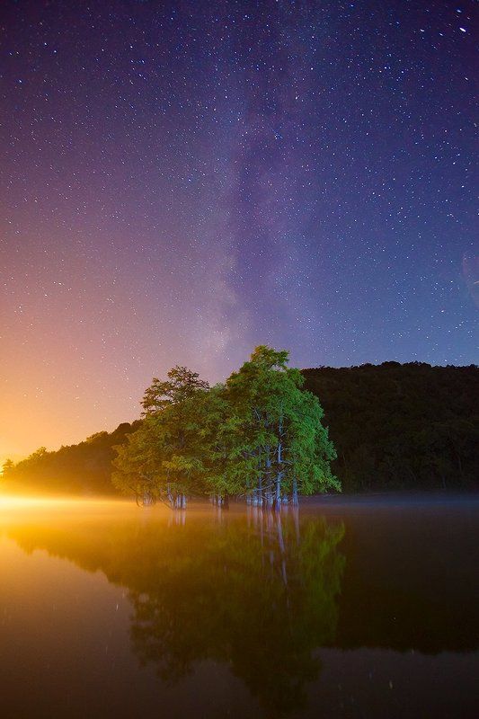 Роща исполинов фото превью