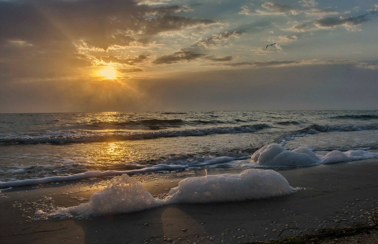 Море, Пена, Рассвет, Утро, Валерий Наумов