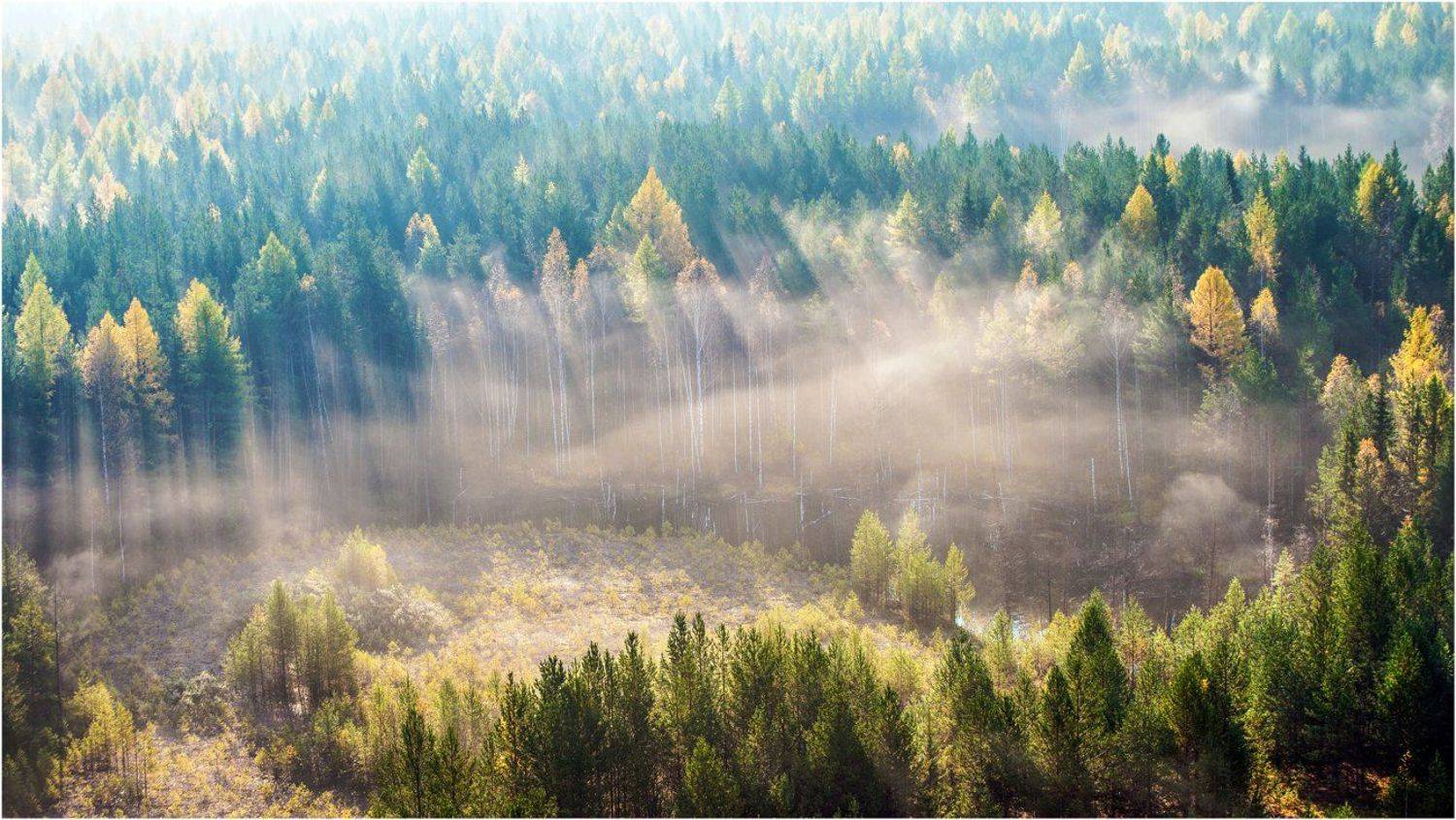 , Воинков Виктор