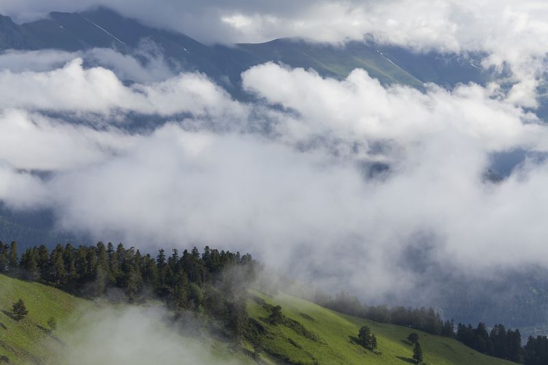 кавказ, архыз Дыхание гор фото превью