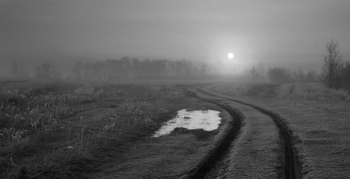 , Николай Морский