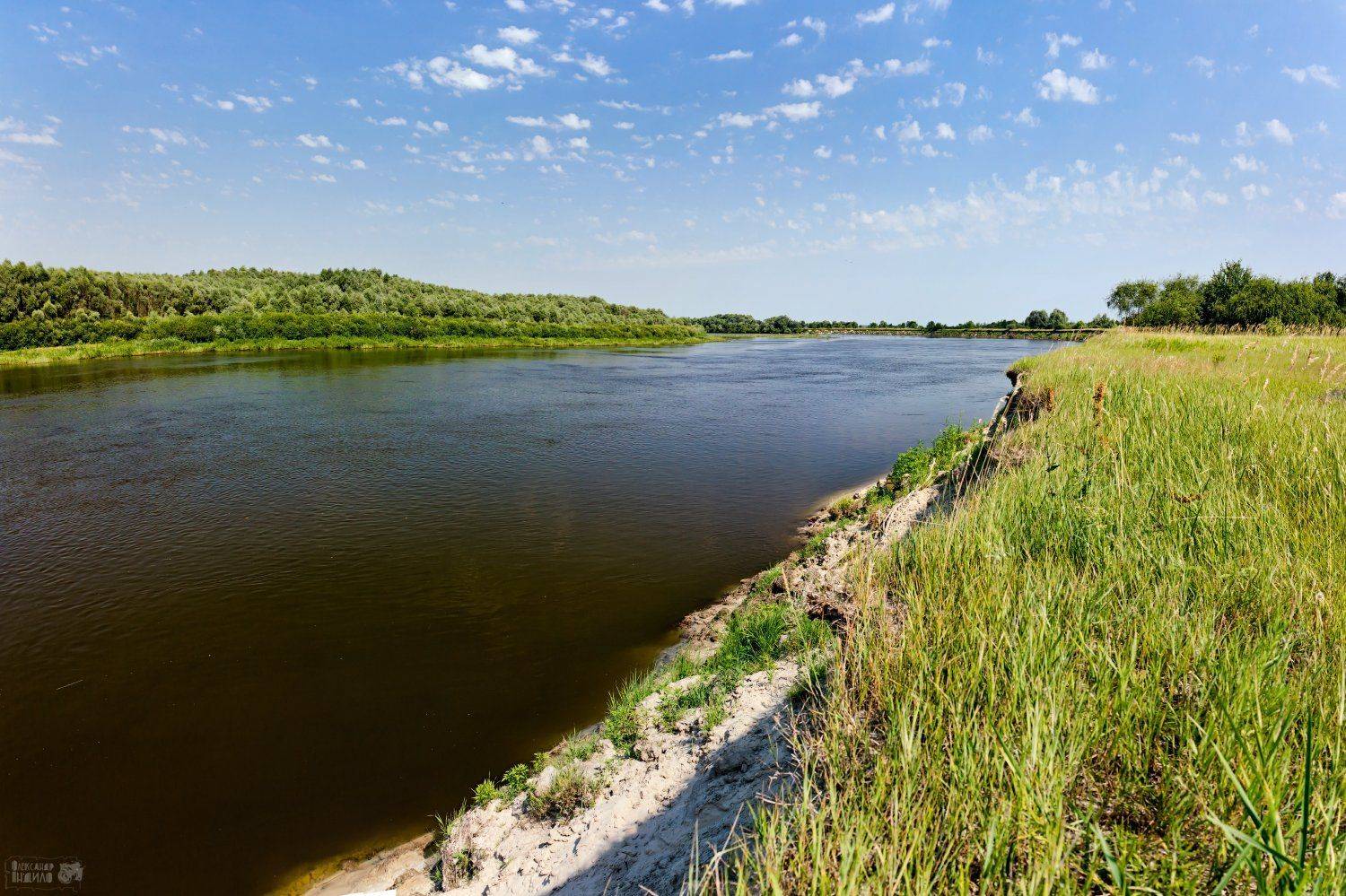 , Александр Индыло