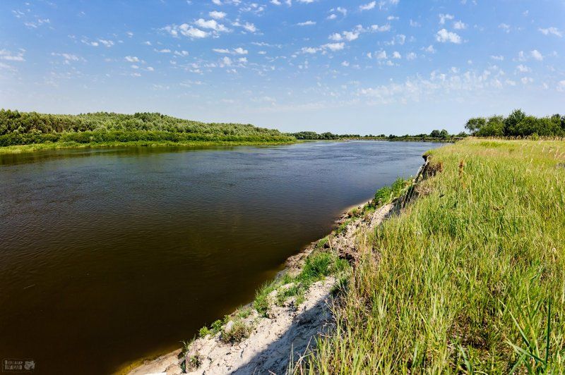 Десна... фото превью